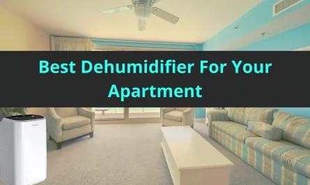 best dehumidifier for apartment
