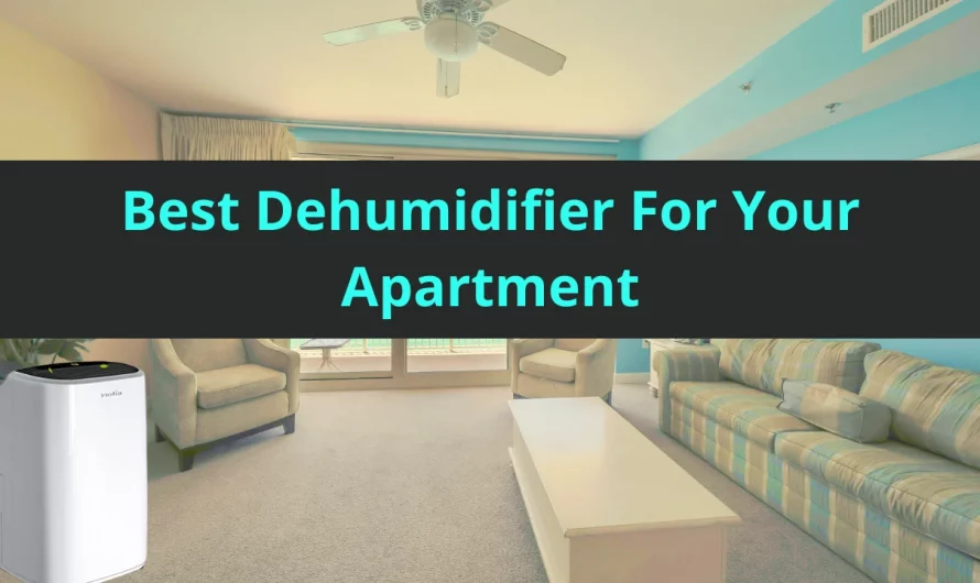5 Best Dehumidifier For Apartment You Need in 2024