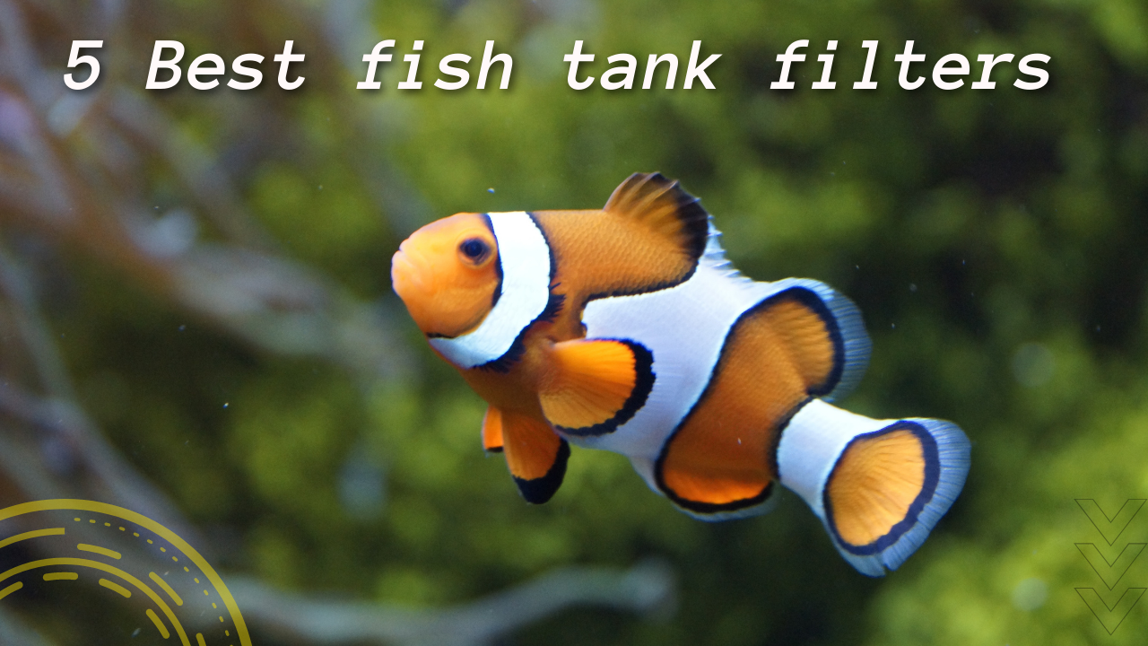 20 gallon fish tank Filter