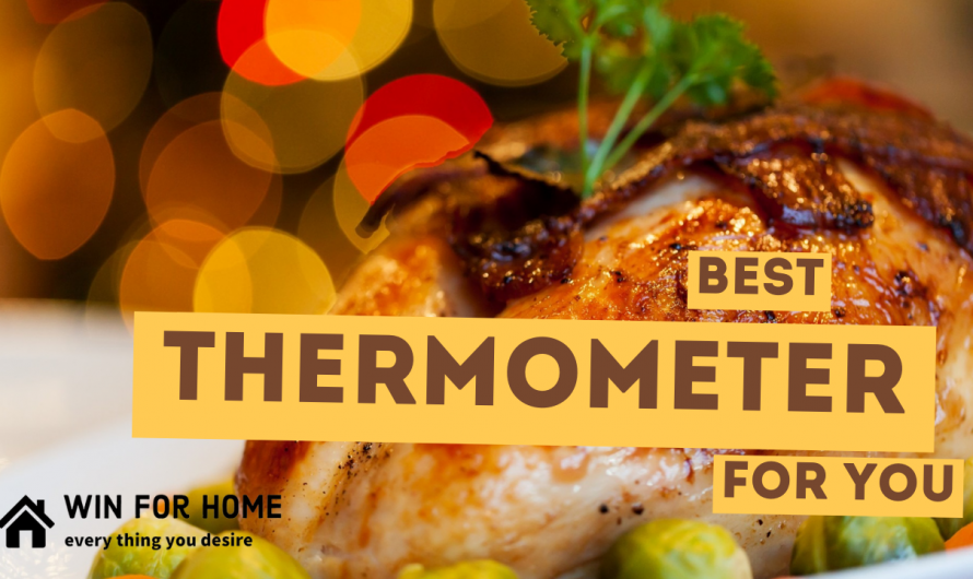 The Best Thermometer For You