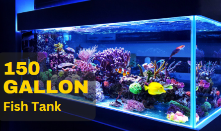 150 gallon Fish Tank