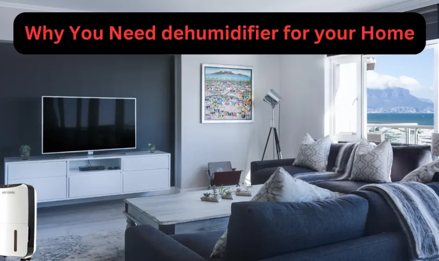 5 Reasons why you Need to Buy a Dehumidifier for Your Home